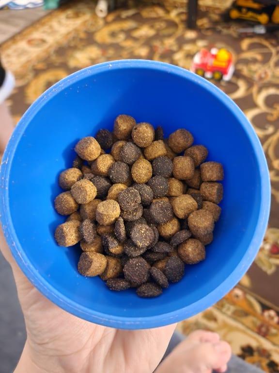 Solid Gold Bison & NutrientBoost Dry Dog Food 22 lbs