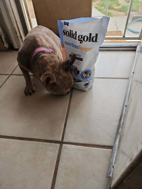 Solid Gold Plasma NutrientBoost Meal Topper, 16 oz. Petco