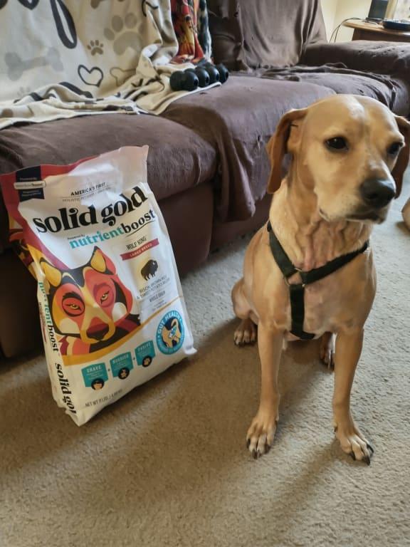 Solid Gold Bison & NutrientBoost Dry Dog Food 22 lbs