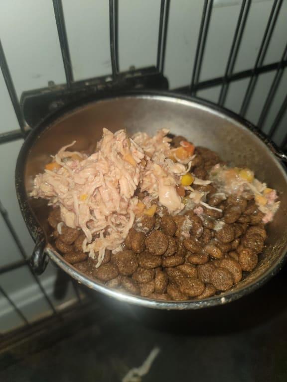 Looks like chicken soup