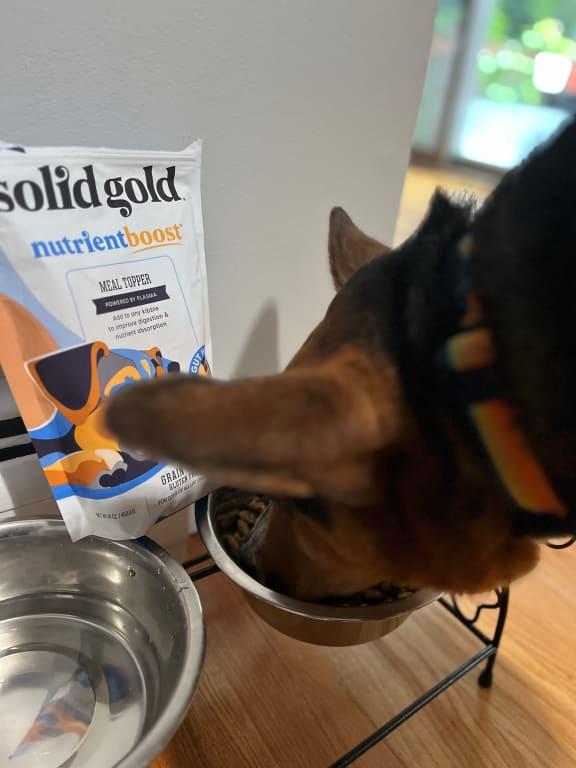 Solid Gold Plasma NutrientBoost Meal Topper, 16 oz. Petco