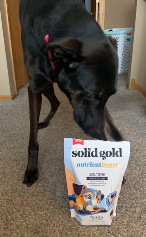 Solid Gold NutrientBoost Meal Topper for Dogs – Pet Life