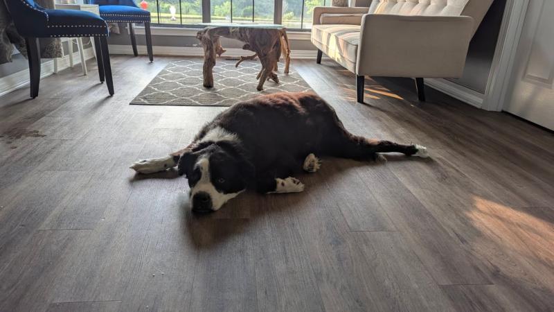 Full relax mode