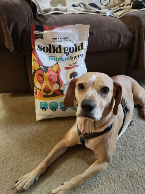Solid Gold Bison & NutrientBoost Dry Dog Food 22 lbs