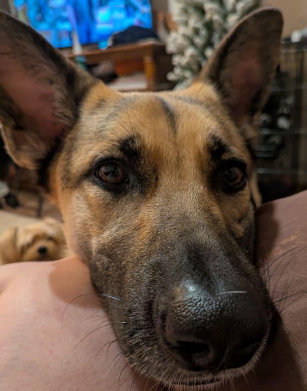 GSD
