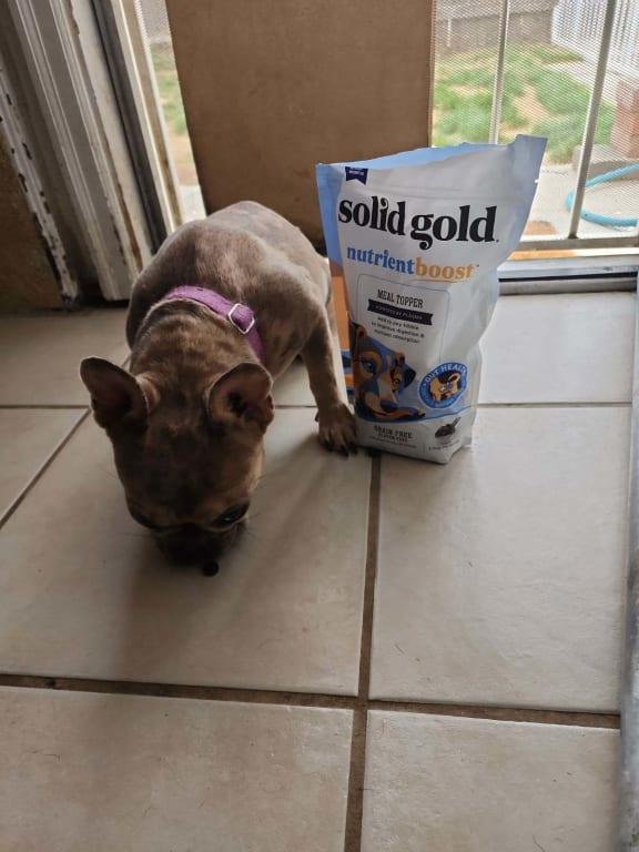 Solid Gold Plasma NutrientBoost Meal Topper, 16 oz. Petco