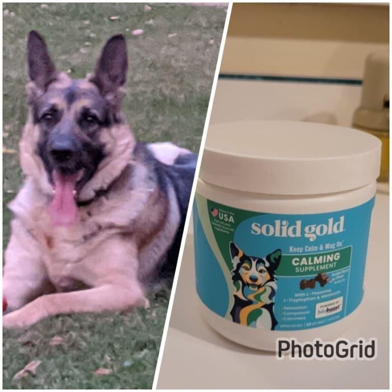 Solid gold calming aid chews for dogs hotsell