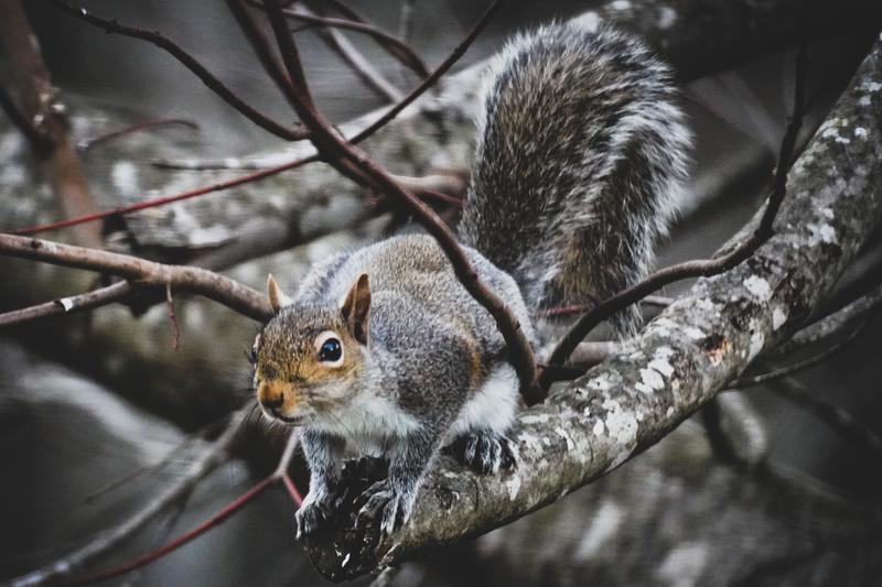 Customer photo 5 of 6. Click to open full size image.