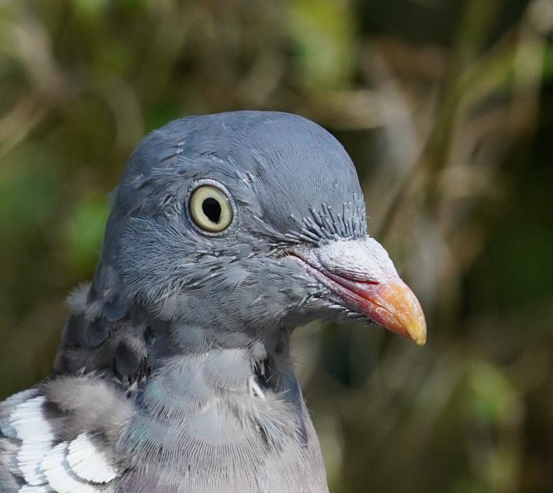 Customer photo 5 of 6. Click to open full size image.