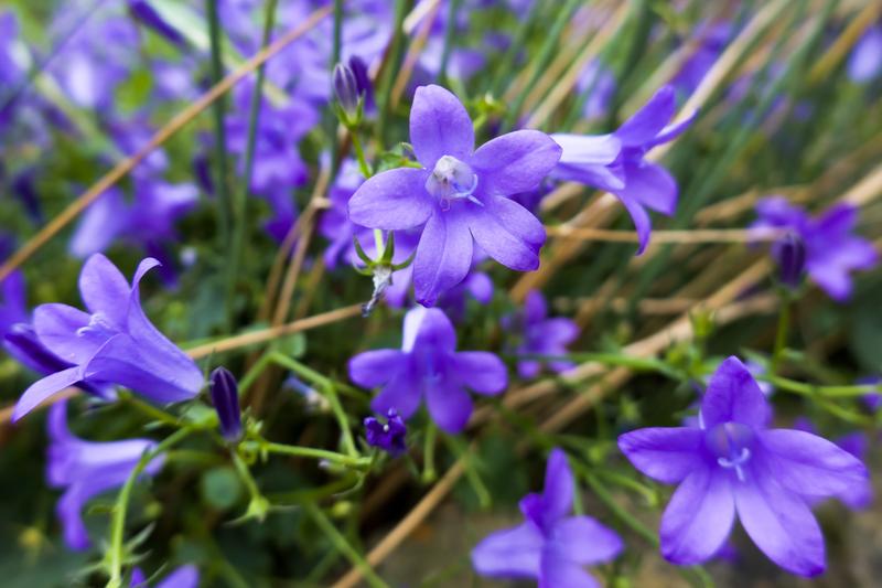 Customer photo 5 of 6. Click to open full size image.