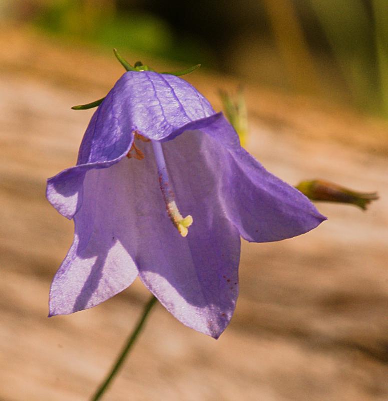 Customer photo 2 of 6. Click to open full size image.