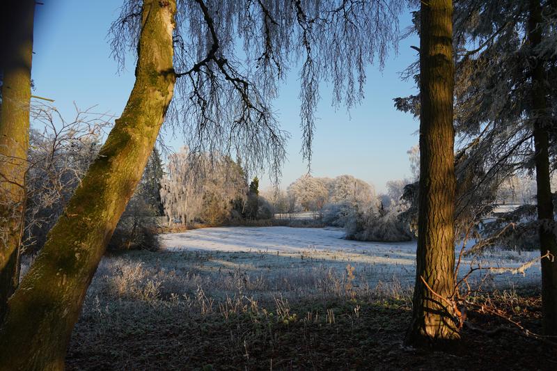 Customer photo 5 of 6. Click to open full size image.