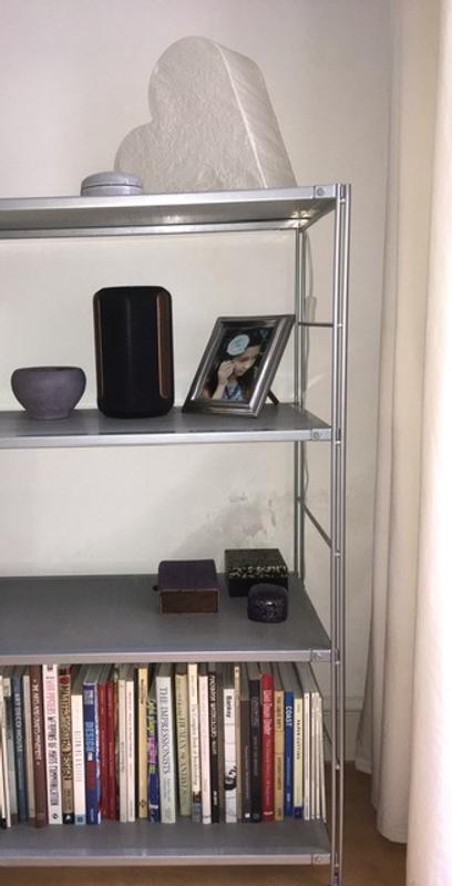 Sony speaker on the shelf unit in the lounge