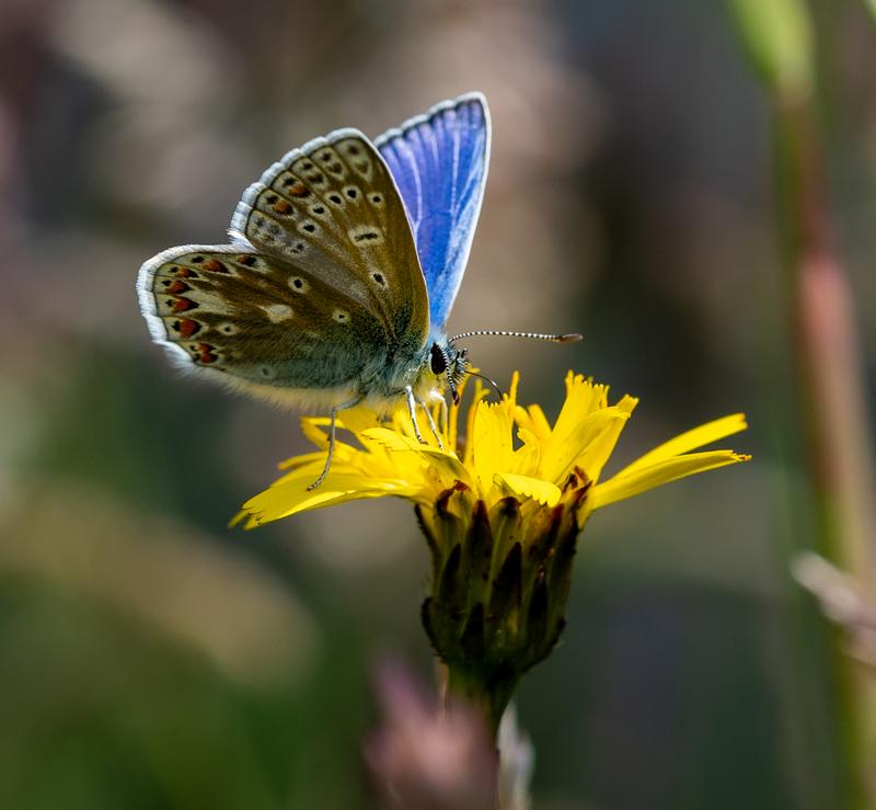 Customer photo 4 of 6. Click to open full size image.