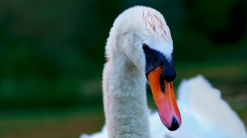 Customer photo 2 of 3. Click to open full size image.