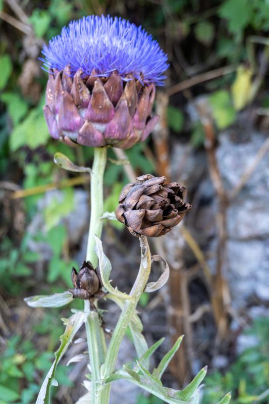 Customer photo 2 of 6. Click to open full size image.