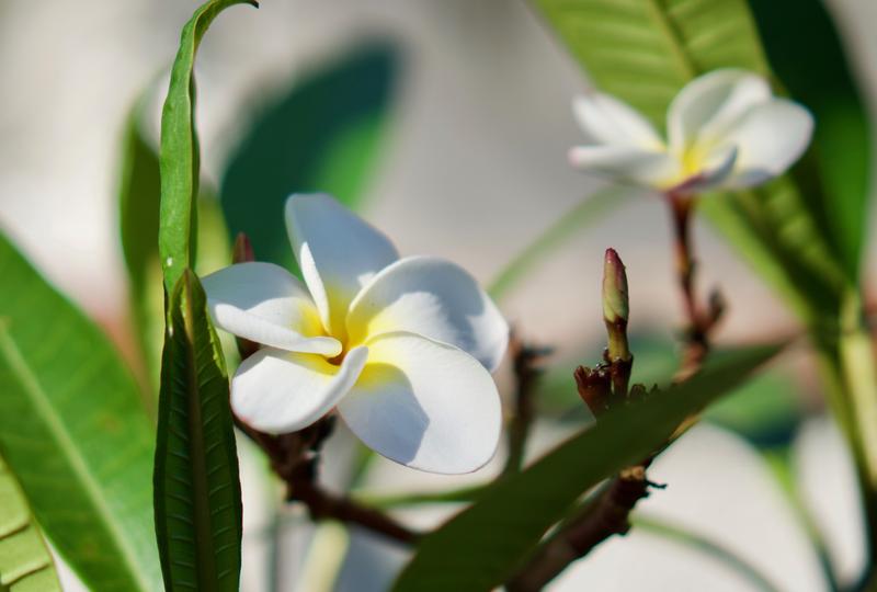 Customer photo 2 of 3. Click to open full size image.