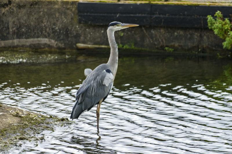 Customer photo 5 of 6. Click to open full size image.