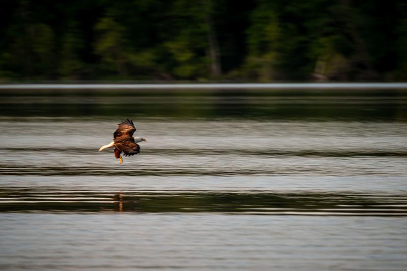 Strike Eagle, Stafford, VA (July 2019)