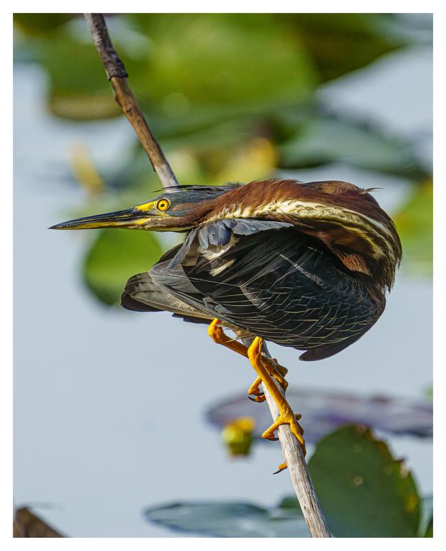 Customer photo 6 of 6. Click to open full size image.