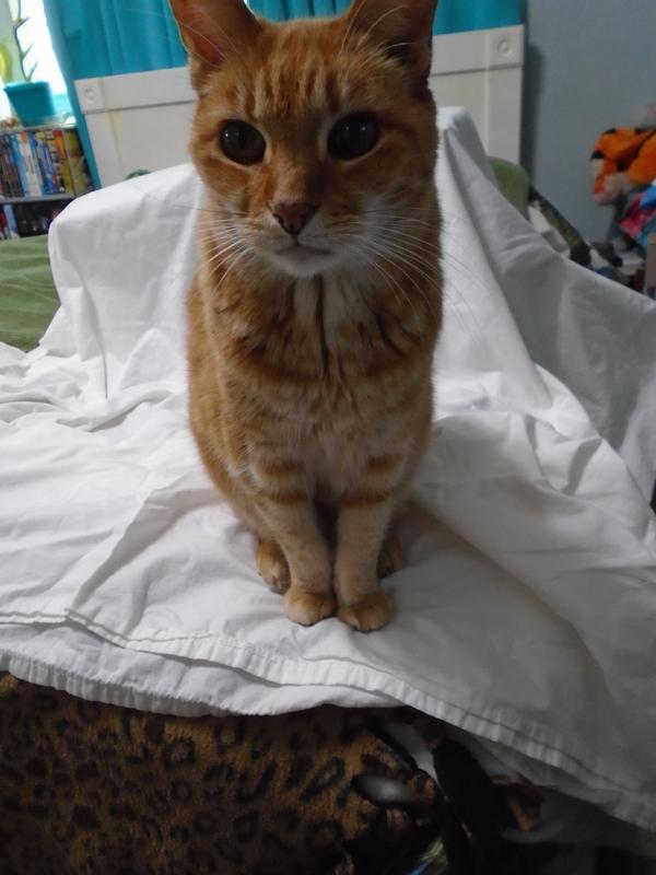 shadowed image indoors