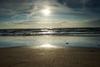 SONY SEL28F20.SYX