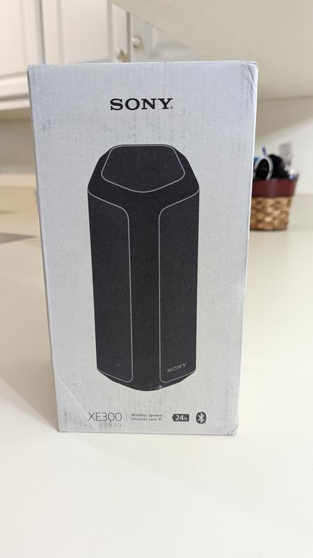 Sony X-Series Wireless Speaker - Black (SRSXE300B) | Visions