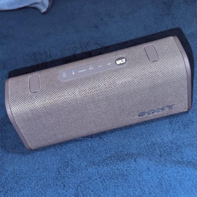 New baby on my bed