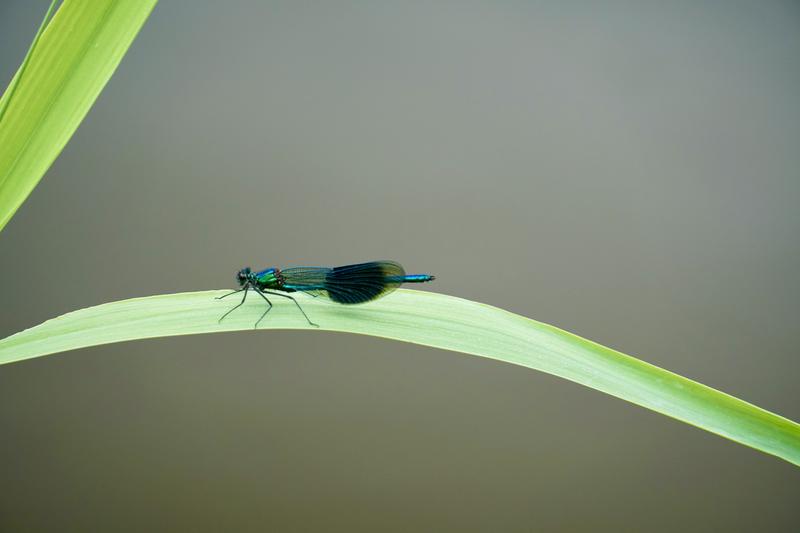 Taken this photo by a river