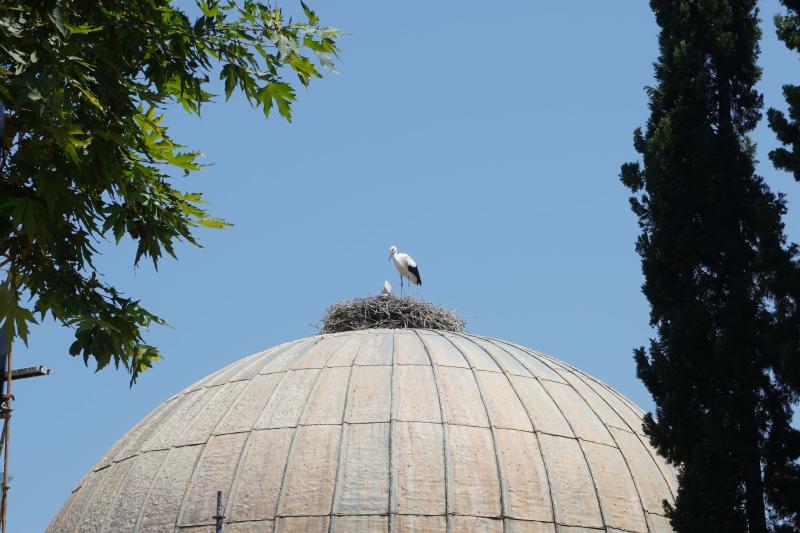 Customer photo 6 of 6. Click to open full size image.