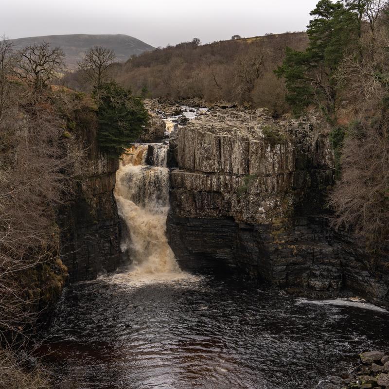 Customer photo 5 of 5. Click to open full size image.