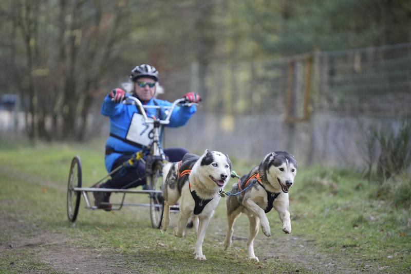 Husky Racing