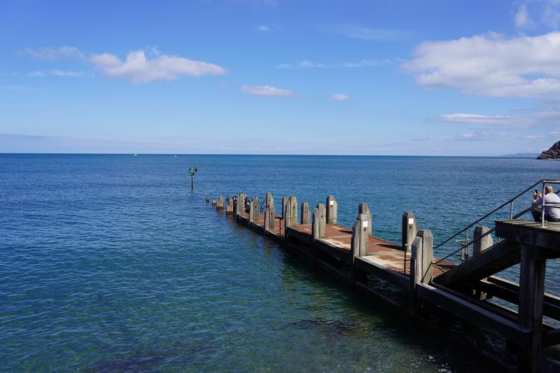 Customer photo 1 of 4. Click to open full size image.