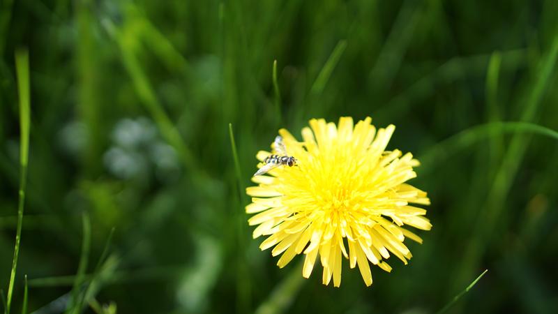 Customer photo 1 of 3. Click to open full size image.