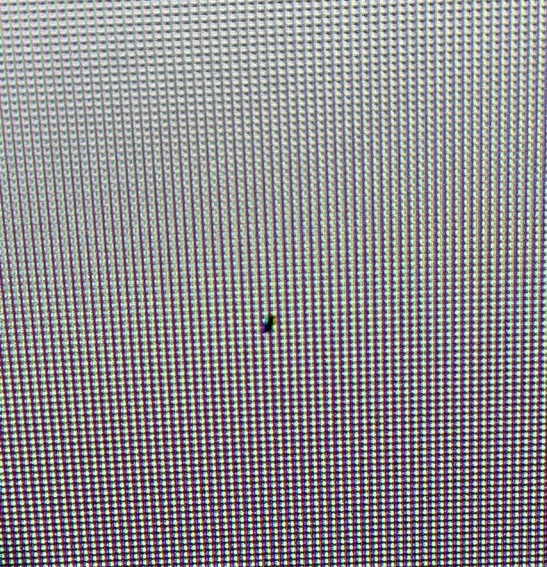 Most likely 2 dead pixels (or a very dead insect - can’t tell)