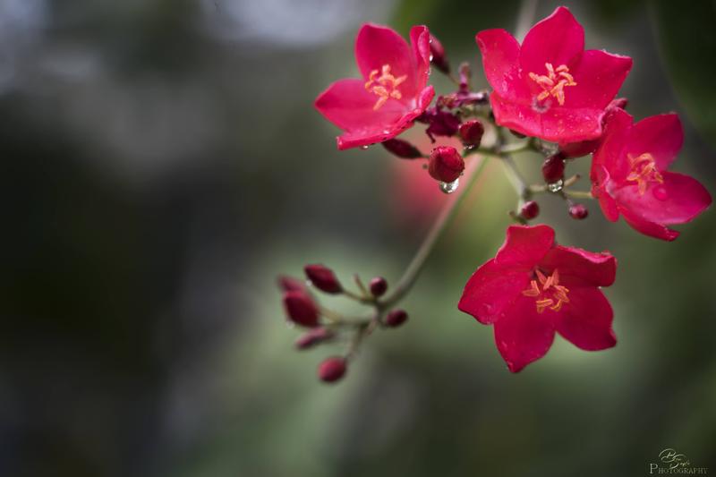 Customer photo 3 of 6. Click to open full size image.