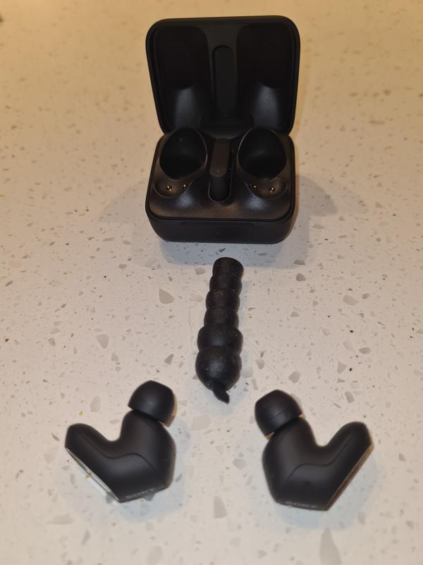 Buds, case and silicone ear tips.