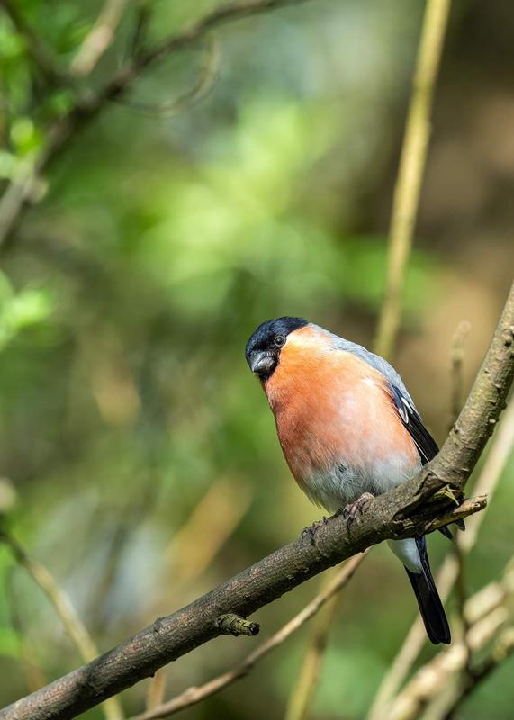 Customer photo 6 of 6. Click to open full size image.