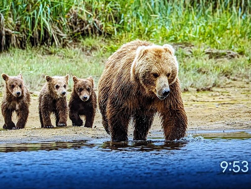 Customer photo 4 of 5. Click to open full size image.