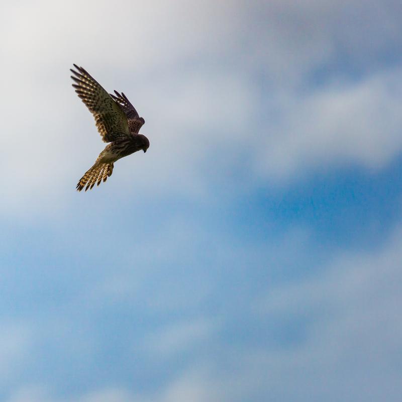 Customer photo 3 of 6. Click to open full size image.