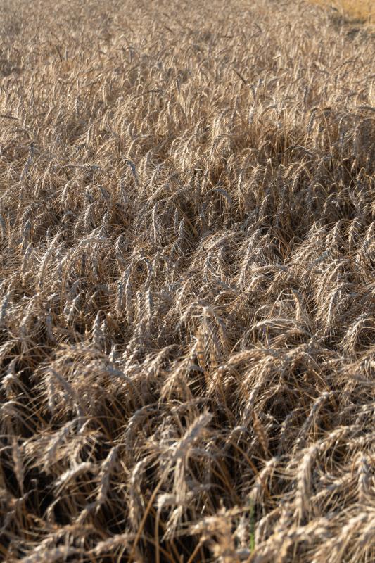 Customer photo 5 of 6. Click to open full size image.