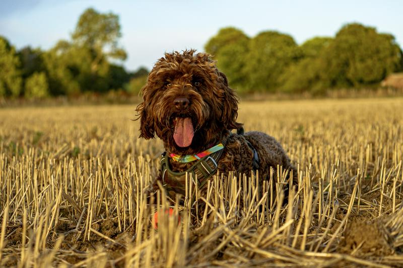 Customer photo 1 of 6. Click to open full size image.