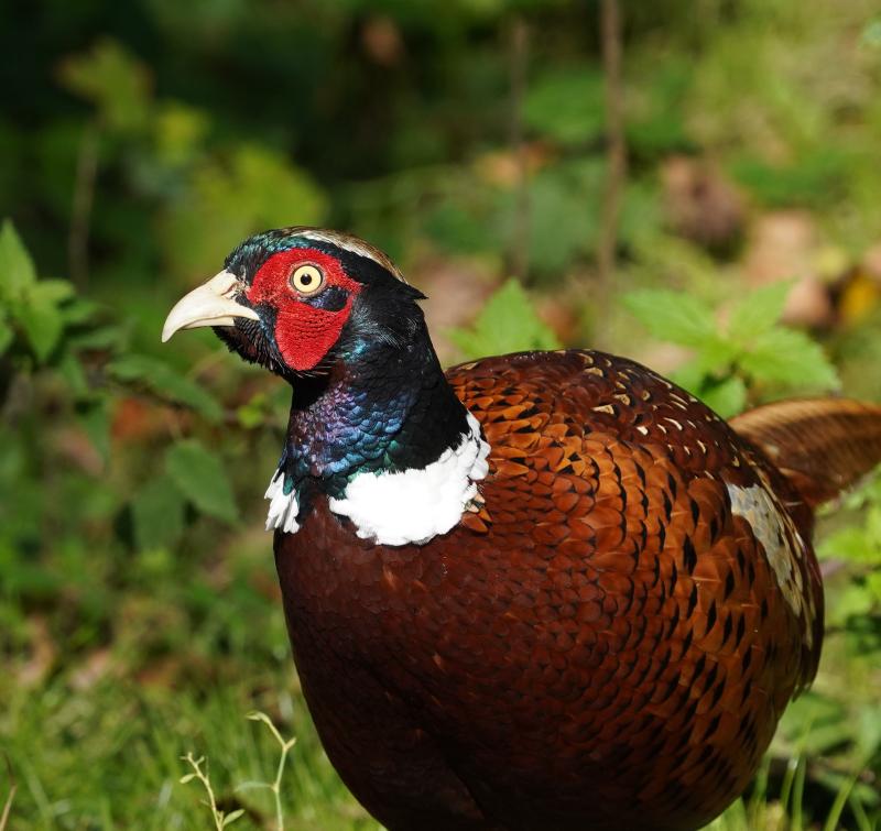 Customer photo 2 of 6. Click to open full size image.