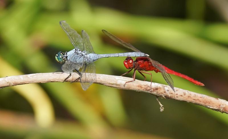 Customer photo 3 of 6. Click to open full size image.