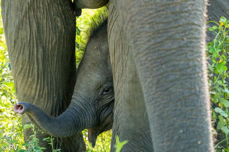 Customer photo 3 of 6. Click to open full size image.