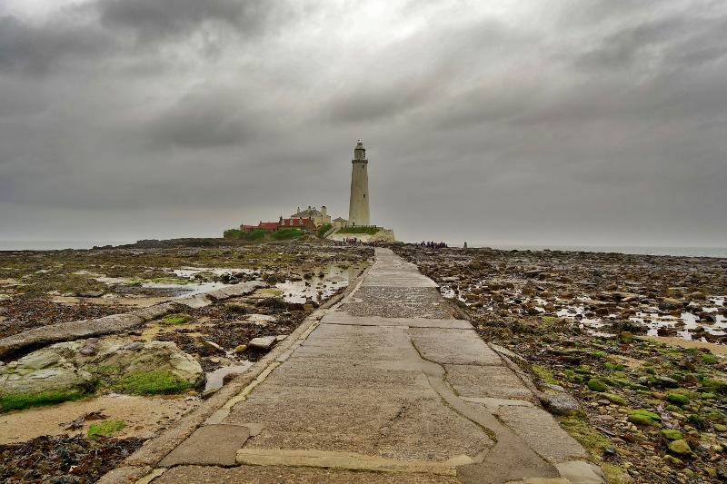 Customer photo 1 of 6. Click to open full size image.