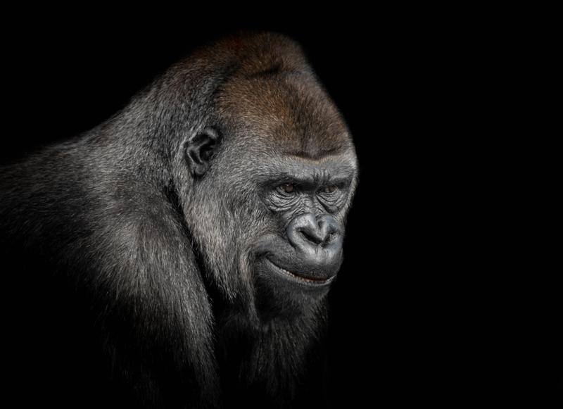 Customer photo 2 of 6. Click to open full size image.