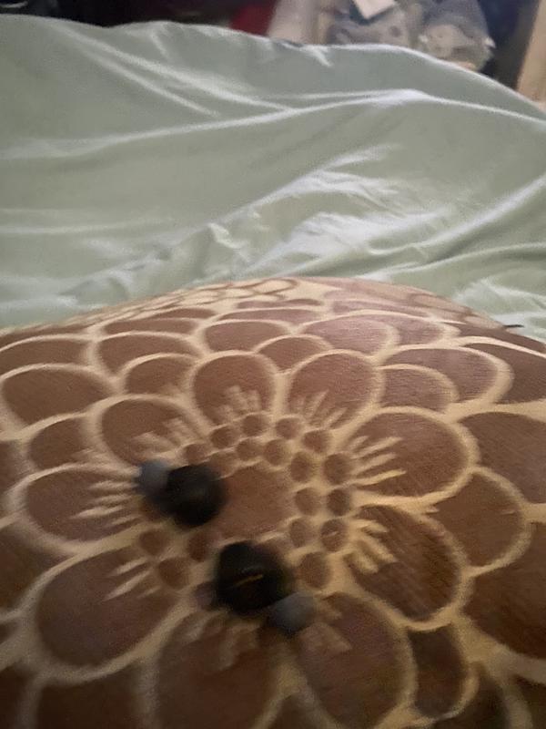 Customer carousel item 6.