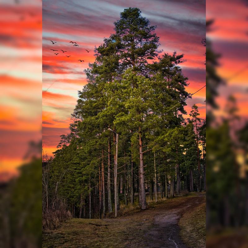 A picture in front of my house