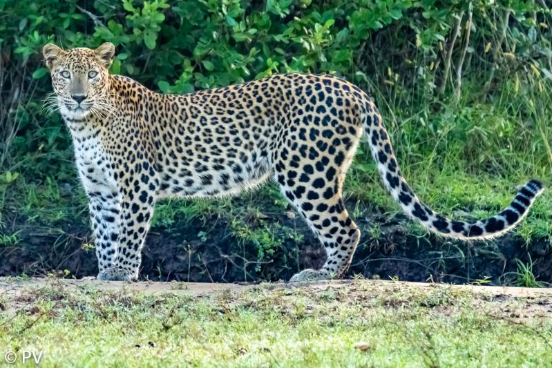 Customer photo 1 of 6. Click to open full size image.